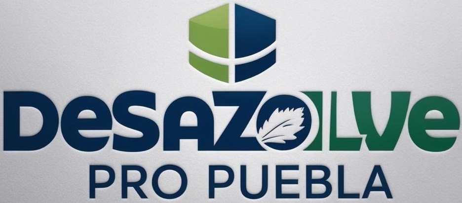 Logo Desazolve Pro Puebla | Servicio de Desazolve